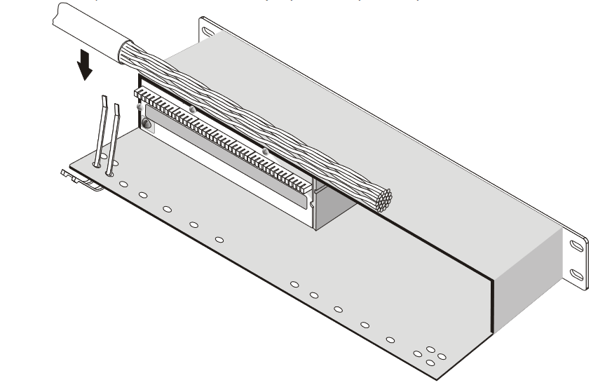 Frame 8(2).png